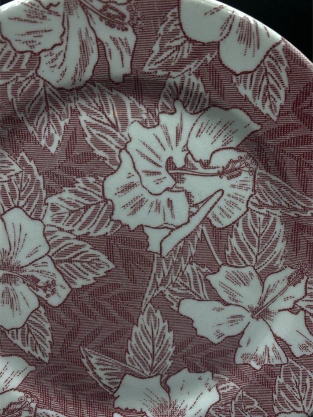 Tepco 9” Dinner Plate Tropical Hawaiian Hibiscus Maroon Restaurant Ware - Picture 3 of 9